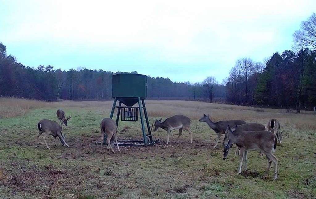 90.3 Acres of Recreational Land with Home for Sale in Watson, Oklahoma