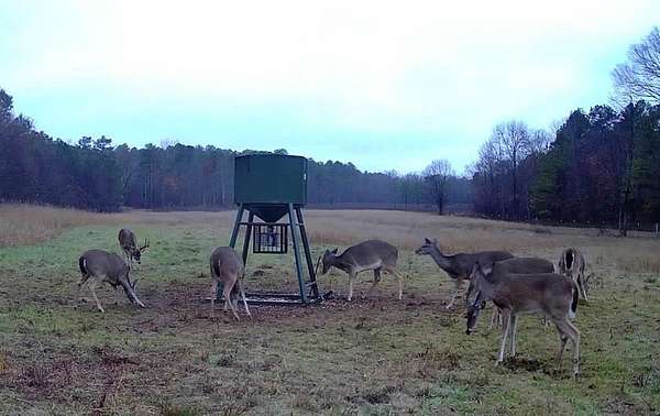 90.3 Acres of Recreational Land with Home for Sale in Watson, Oklahoma