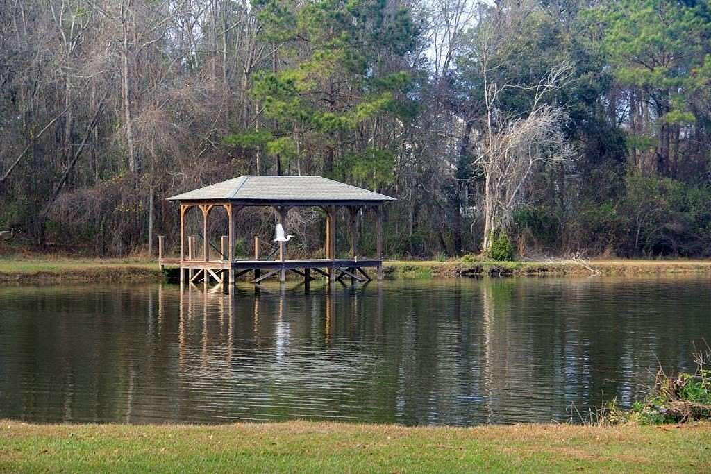 2.69 Acres of Land for Sale in Meigs, Georgia