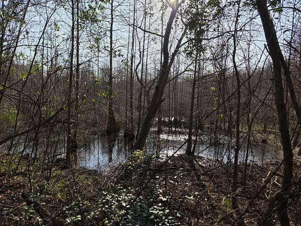 7.5 Acres of Land for Sale in Beech Island, South Carolina