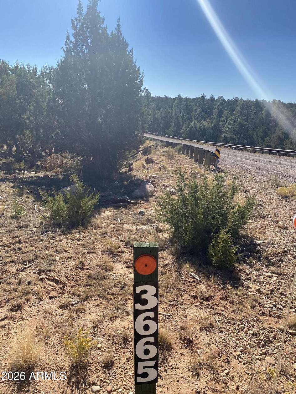 5 Acres of Land for Sale in Happy Jack, Arizona