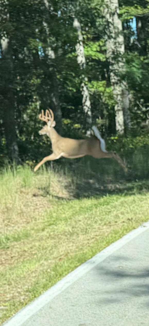 3.22 Acres of Land for Sale in Frenchburg, Kentucky