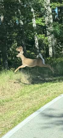 3.22 Acres of Land for Sale in Frenchburg, Kentucky