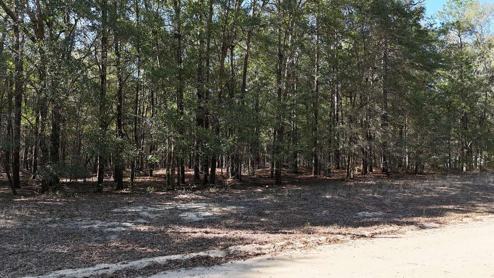 0.67 Acres of Residential Land for Sale in Summerton, South Carolina