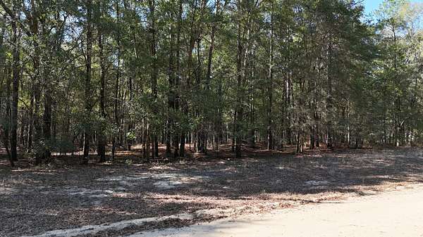 0.67 Acres of Residential Land for Sale in Summerton, South Carolina