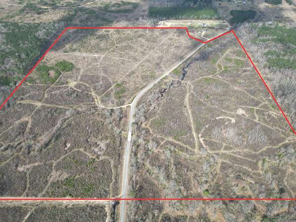 153 Acres of Recreational Land for Sale in Wilmar, Arkansas