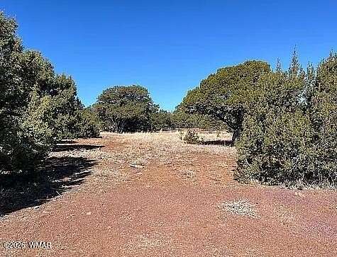 3.34 Acres of Residential Land for Sale in Concho, Arizona