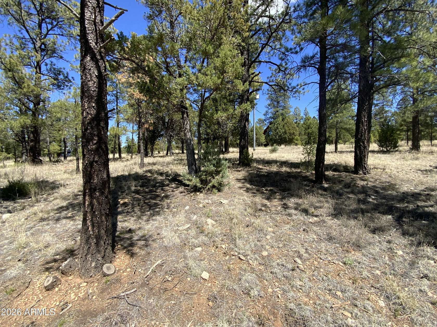 0.85 Acres of Land for Sale in Happy Jack, Arizona
