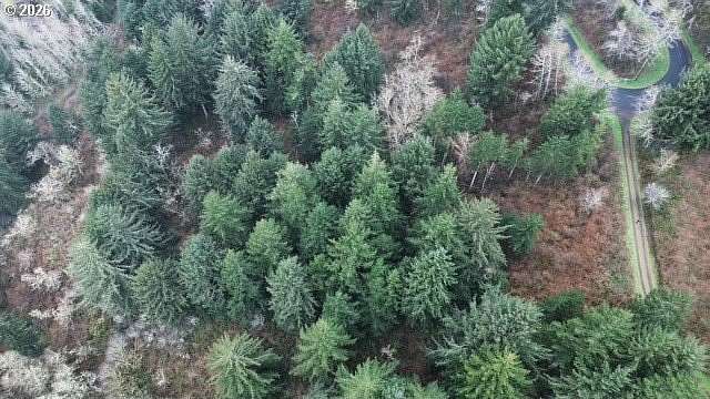 16.2 Acres of Land for Sale in Florence, Oregon