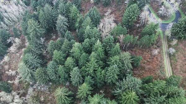 16.2 Acres of Land for Sale in Florence, Oregon