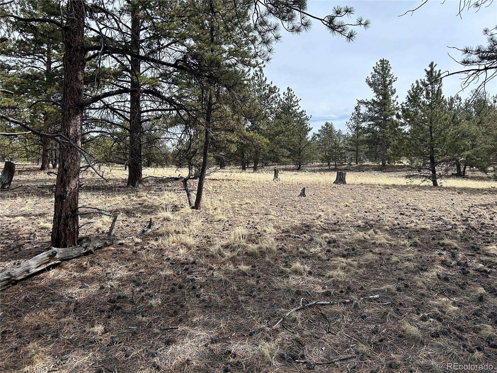 2 Acres of Residential Land for Sale in Hartsel, Colorado