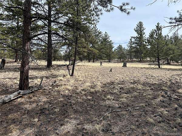 2 Acres of Residential Land for Sale in Hartsel, Colorado