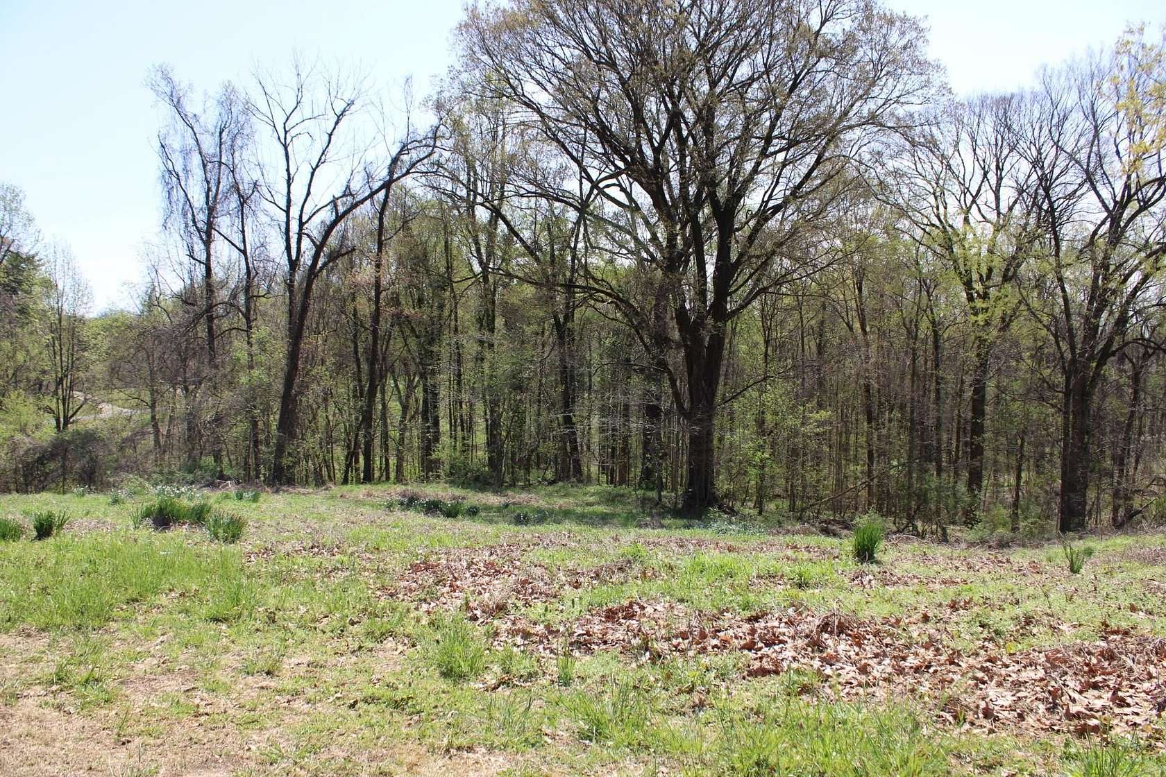 4.23 Acres of Residential Land for Sale in Ripley, Tennessee