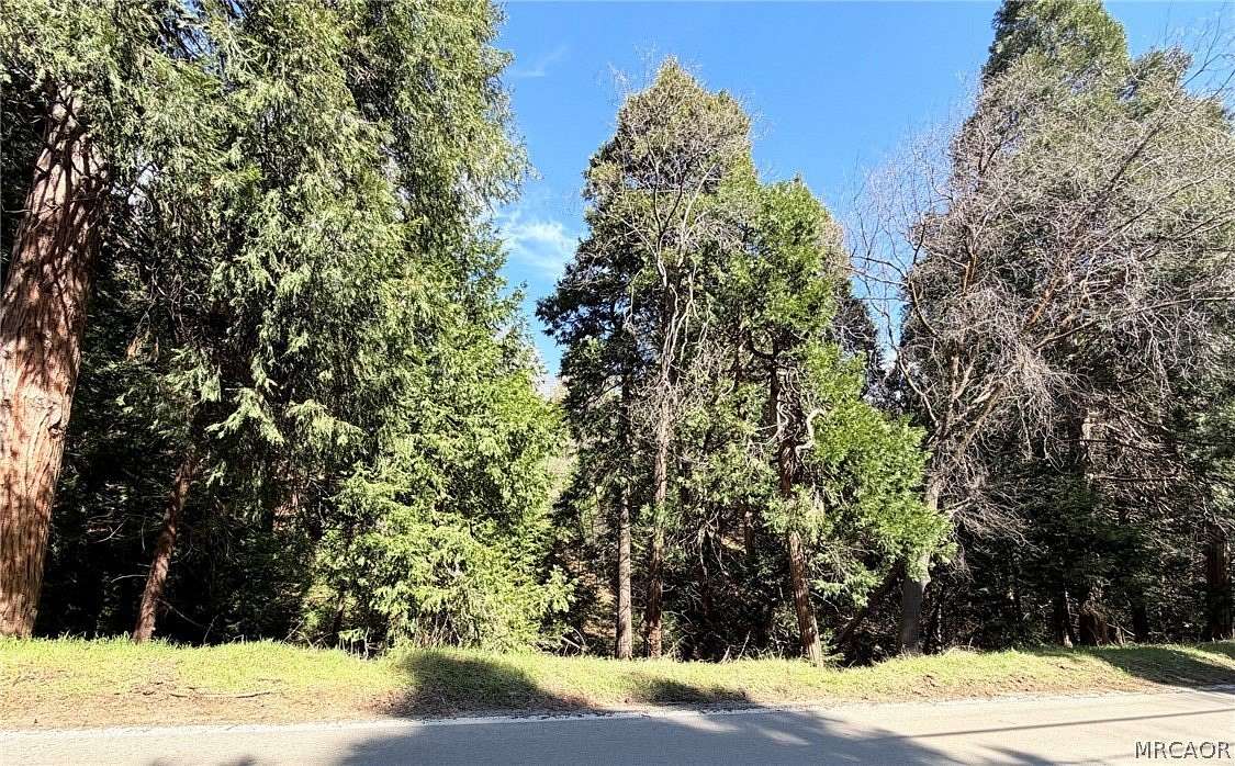 0.83 Acres of Land for Sale in Cedar Glen, California