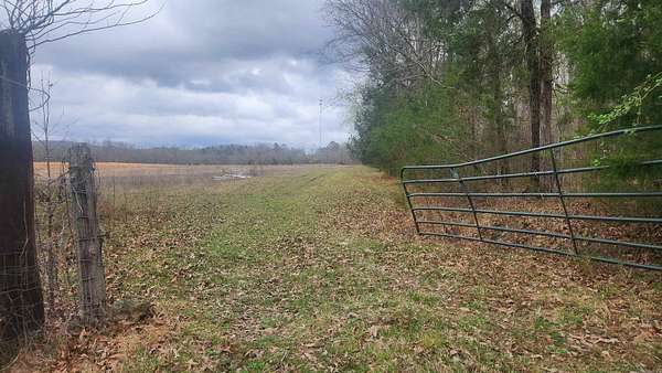 40 Acres of Land for Sale in Royal, Arkansas