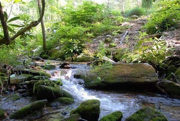 3.28 Acres of Residential Land for Sale in Bryson City, North Carolina