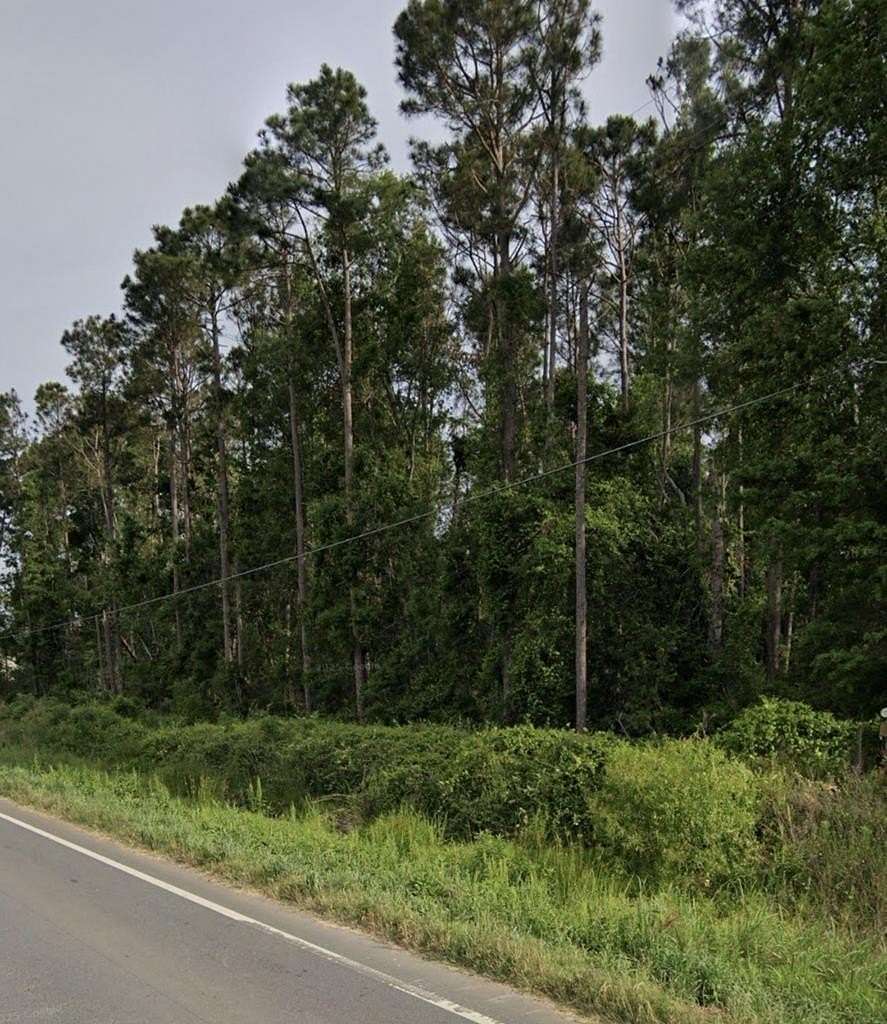 2.64 Acres of Residential Land for Sale in Ambrose, Georgia