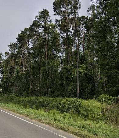 2.64 Acres of Residential Land for Sale in Ambrose, Georgia