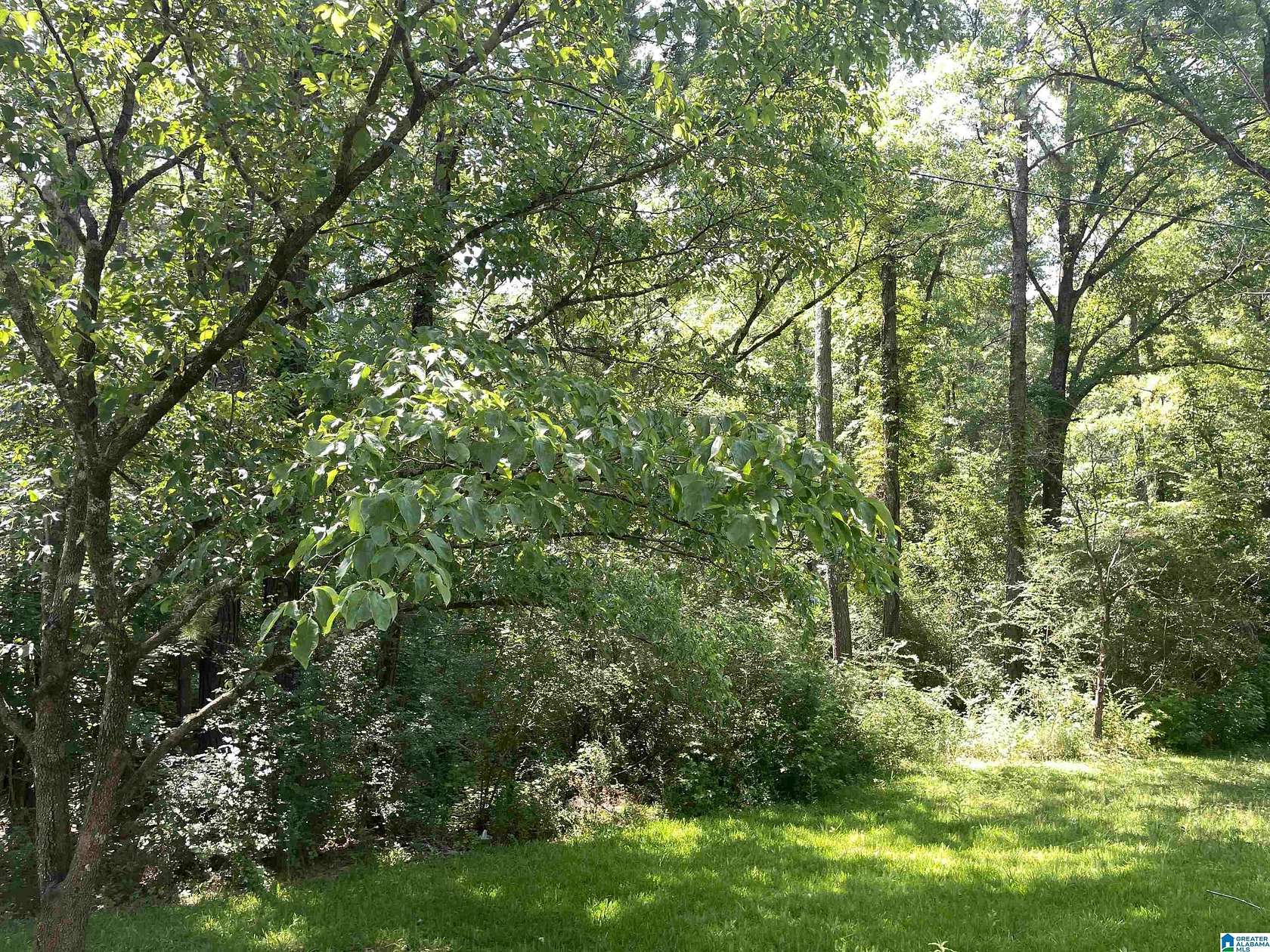 4.33 Acres of Residential Land for Sale in Chelsea, Alabama