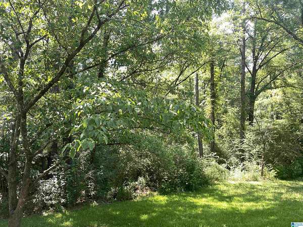 4.33 Acres of Residential Land for Sale in Chelsea, Alabama