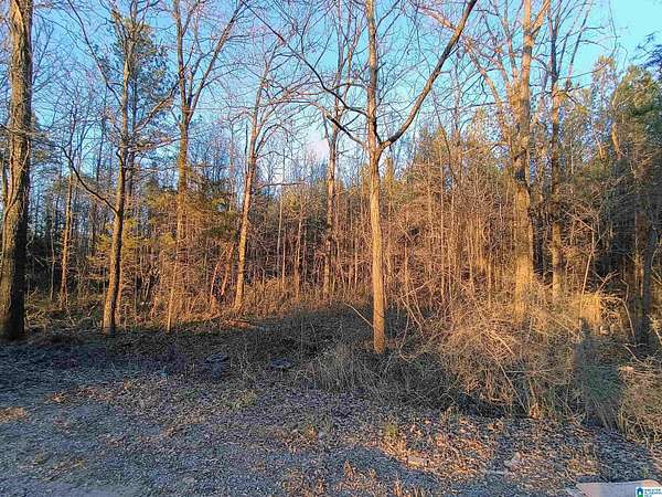 9.7 Acres of Residential Land for Sale in Sylacauga, Alabama