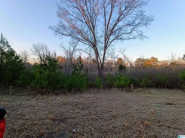 2.42 Acres of Residential Land for Sale in Sylacauga, Alabama