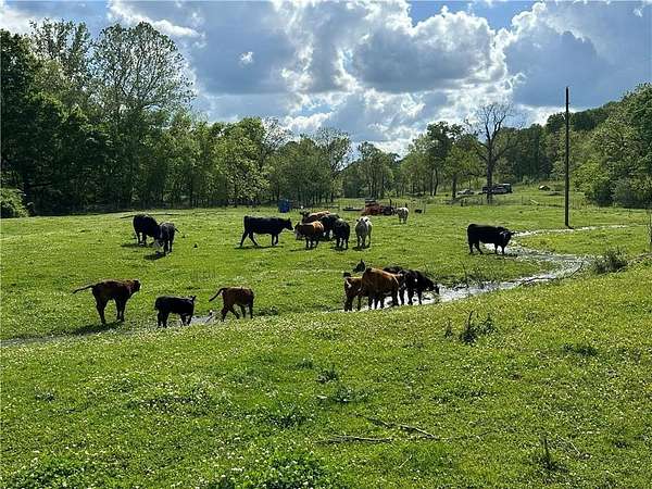 130 Acres of Recreational & Residential Land for Sale in Kansas, Oklahoma