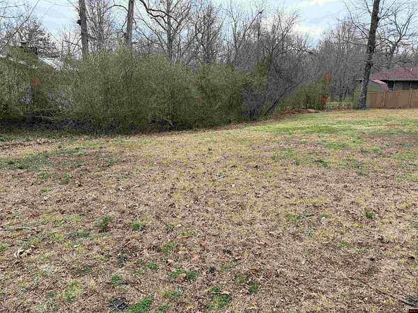 0.31 Acres of Land for Sale in Lakeview, Arkansas