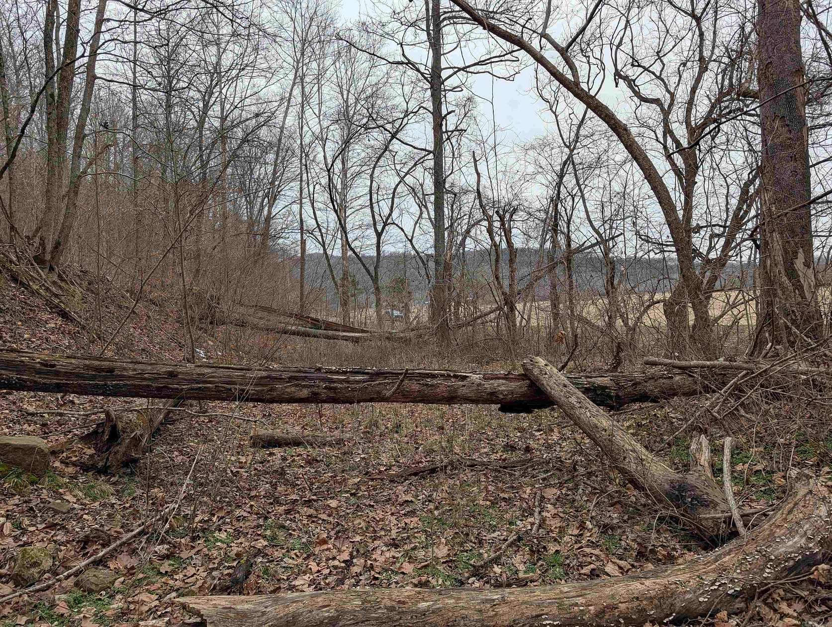 76 Acres of Recreational & Residential Land for Sale in Osage, Arkansas