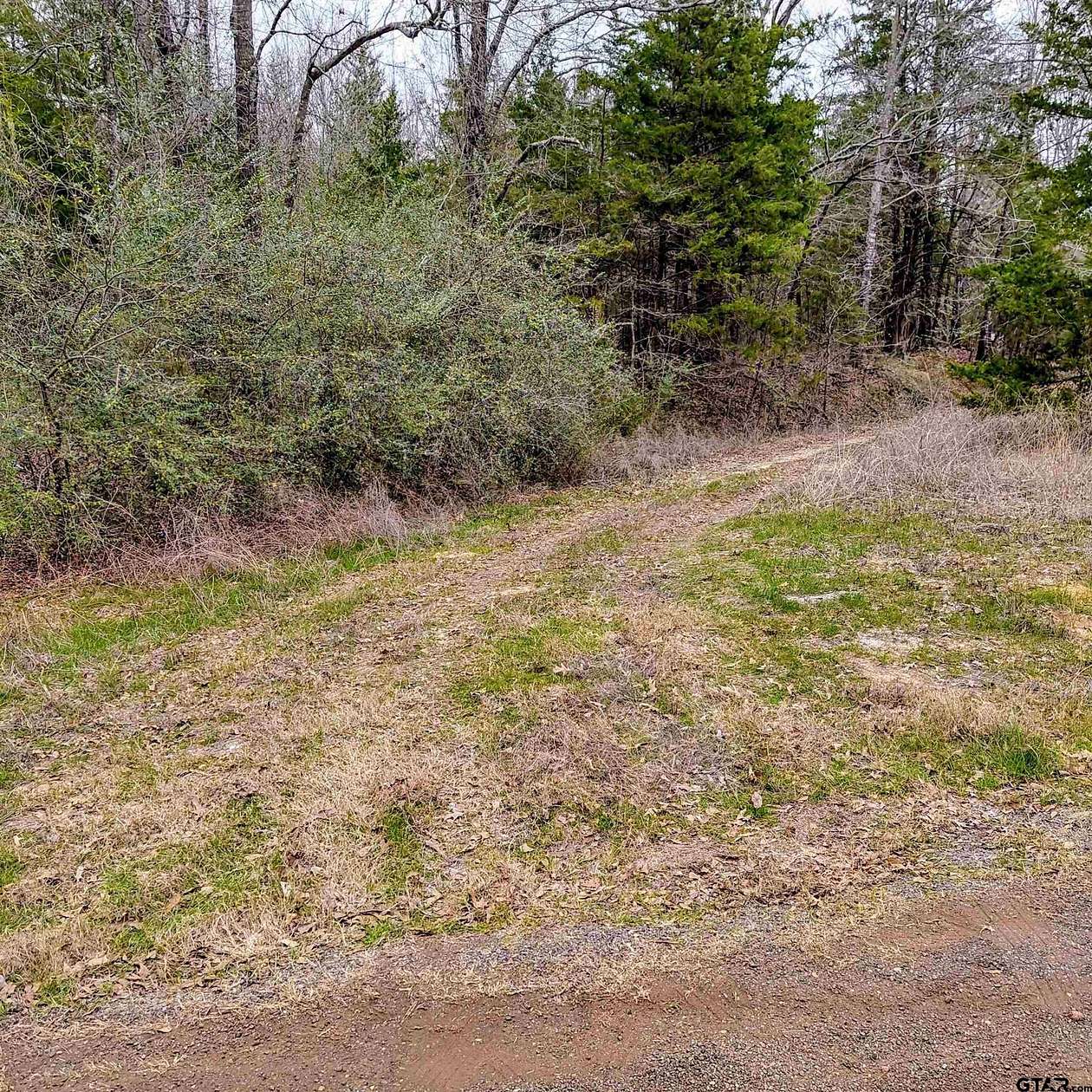 22.3 Acres of Recreational & Residential Land for Sale in De Kalb, Texas