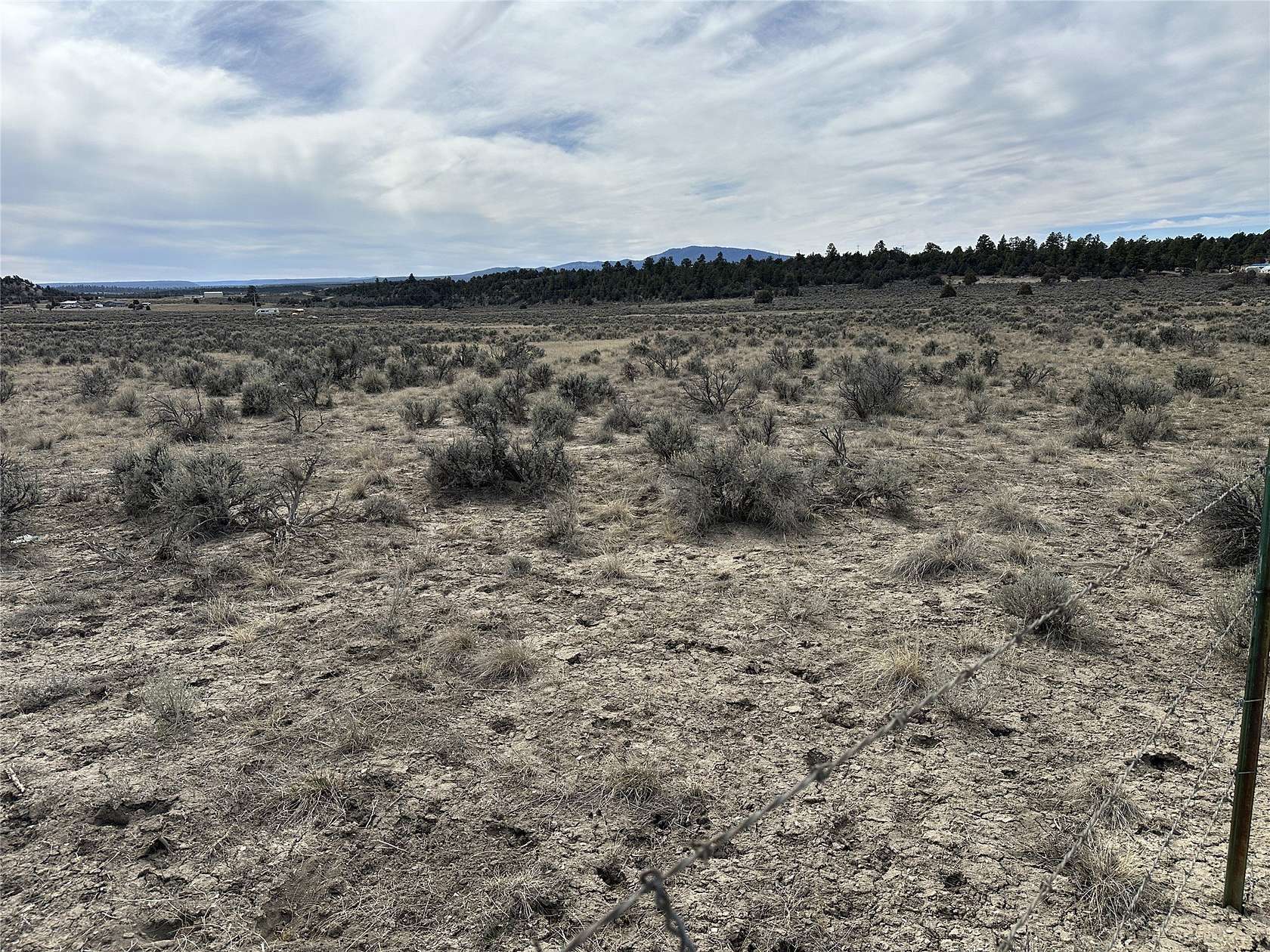 10 Acres of Recreational & Residential Land for Sale in Tierra Amarilla, New Mexico