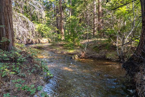 3.83 Acres of Land for Sale in Shingletown, California