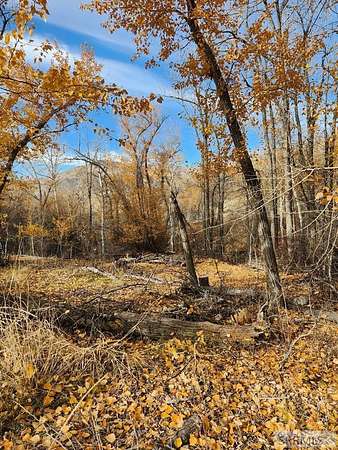 3 Acres of Residential Land for Sale in Salmon, Idaho