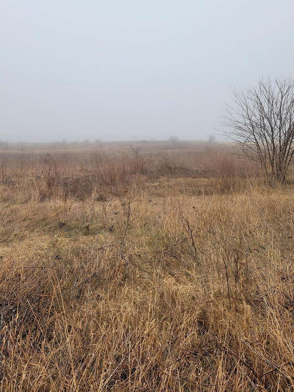 3.1 Acres of Residential Land for Sale in Fennville, Michigan