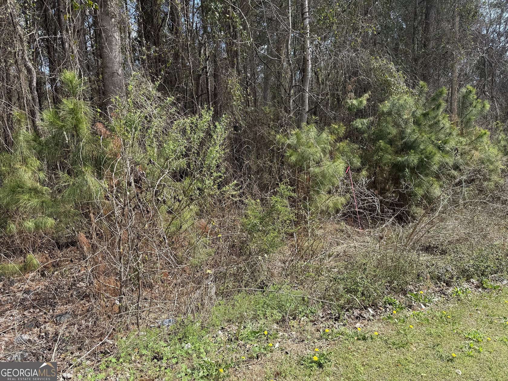 3.31 Acres of Residential Land for Sale in Norcross, Georgia