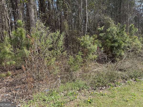 3.31 Acres of Residential Land for Sale in Norcross, Georgia