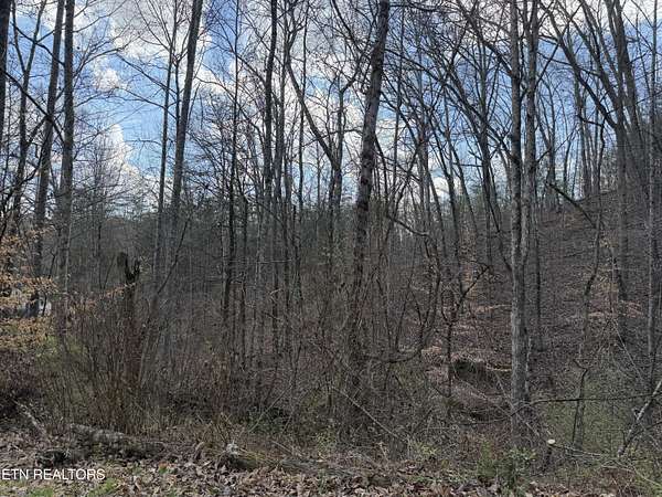 5.2 Acres of Residential Land for Sale in Heiskell, Tennessee