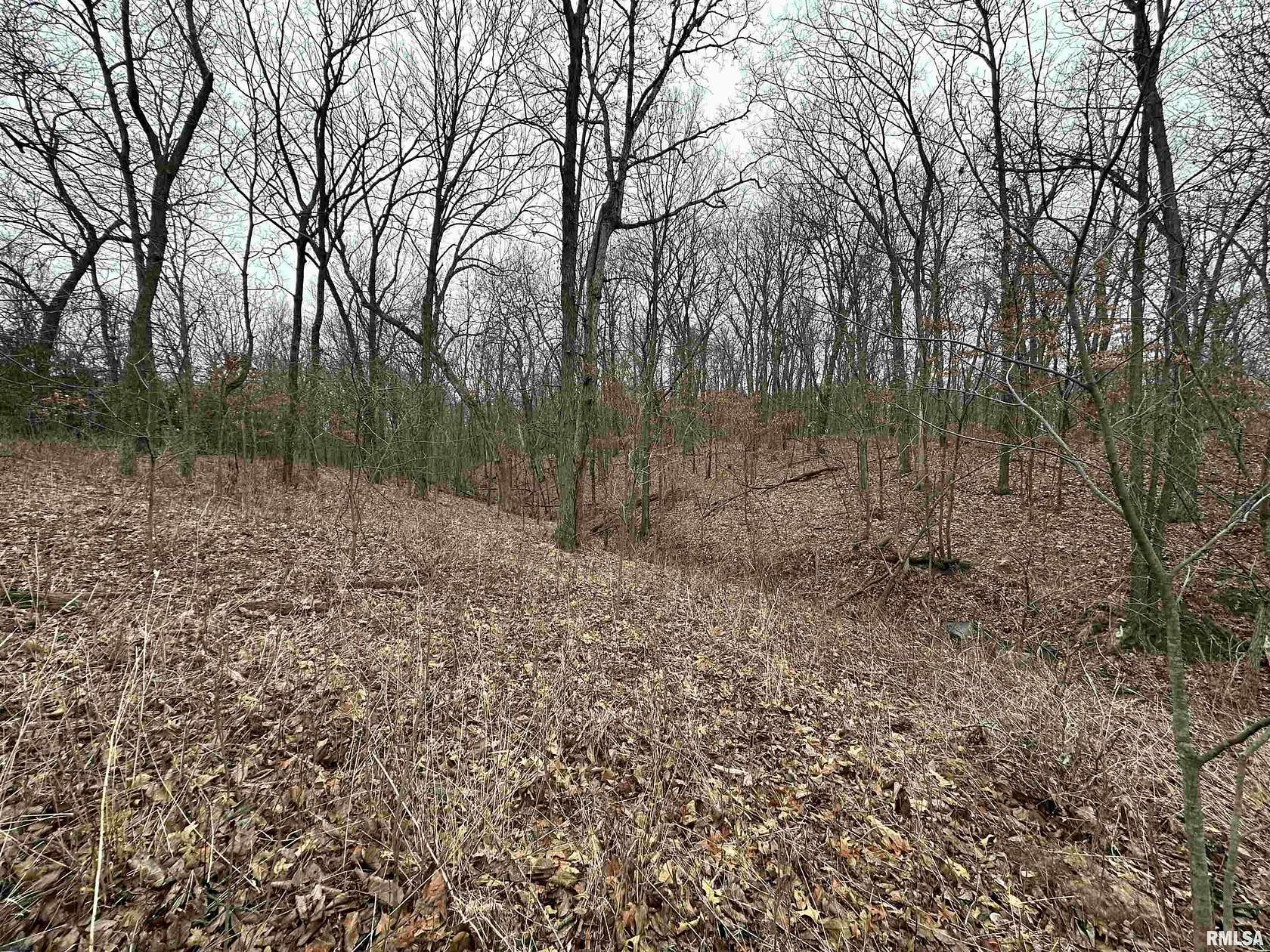 107 Acres of Land for Sale in Avon, Illinois