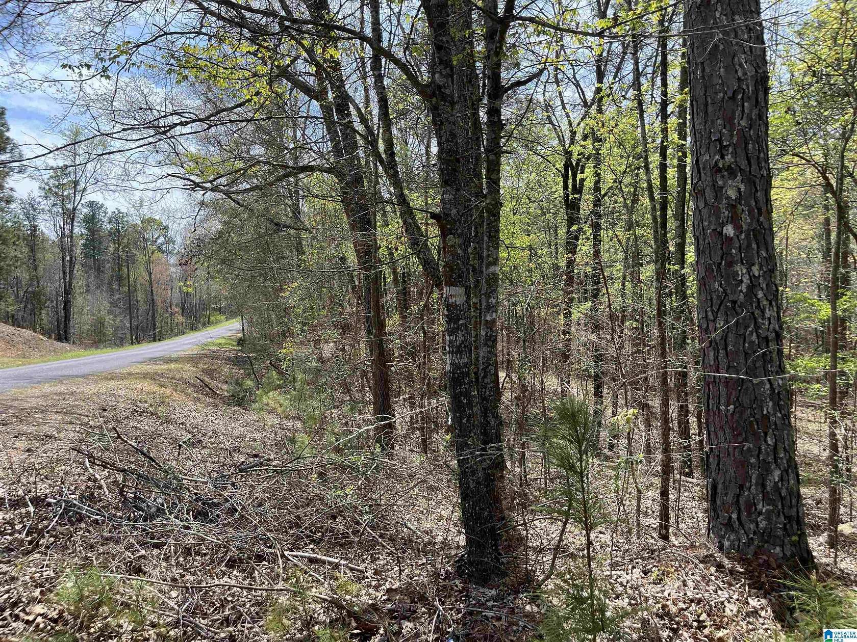 1.3 Acres of Land for Sale in Talladega, Alabama