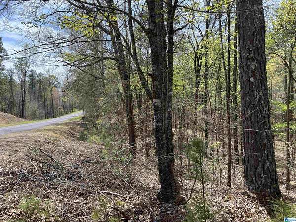 1.3 Acres of Land for Sale in Talladega, Alabama