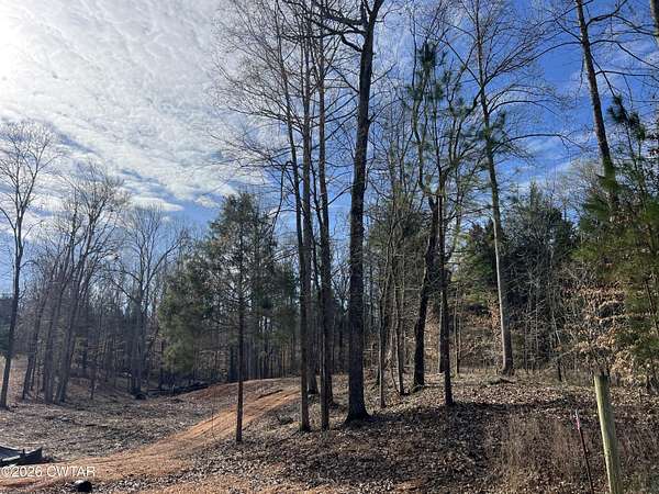 1.3 Acres of Residential Land for Sale in Cedar Grove, Tennessee