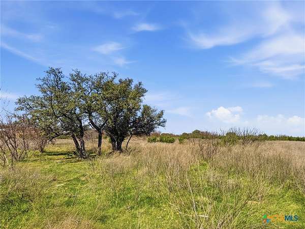 25.3 Acres of Recreational & Residential Land for Sale in Evant, Texas