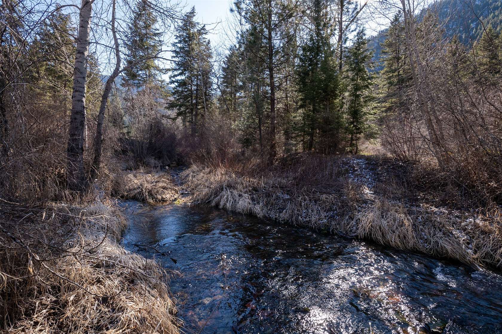 40 Acres of Recreational Land for Sale in Alberton, Montana