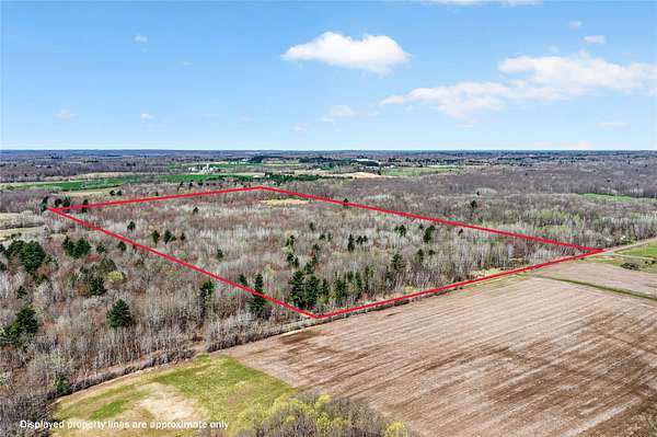 80 Acres of Recreational & Residential Land for Sale in Barronett, Wisconsin
