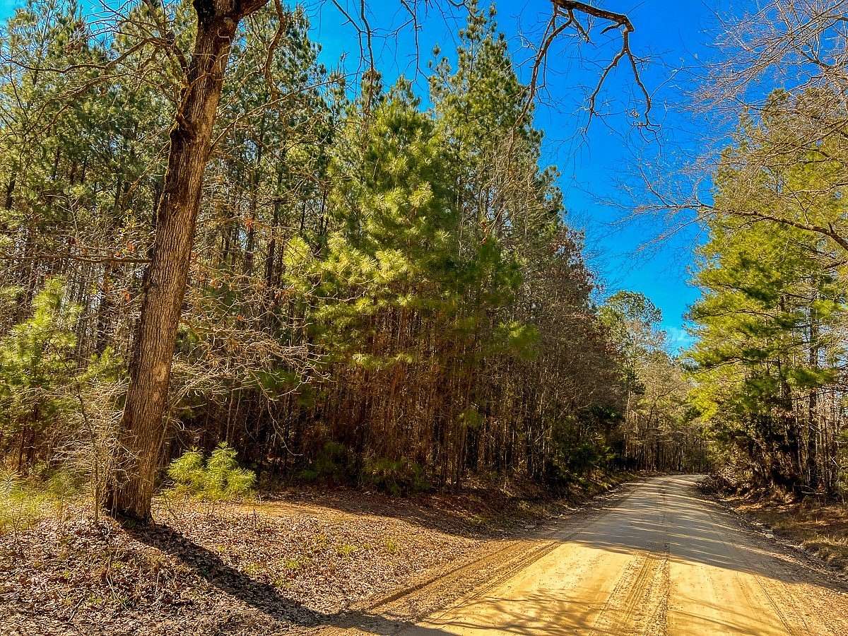 83 Acres of Recreational Land for Sale in Corrigan, Texas