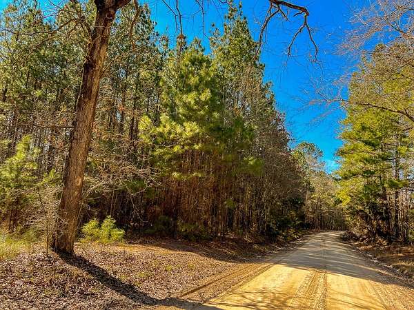 83 Acres of Recreational Land for Sale in Corrigan, Texas