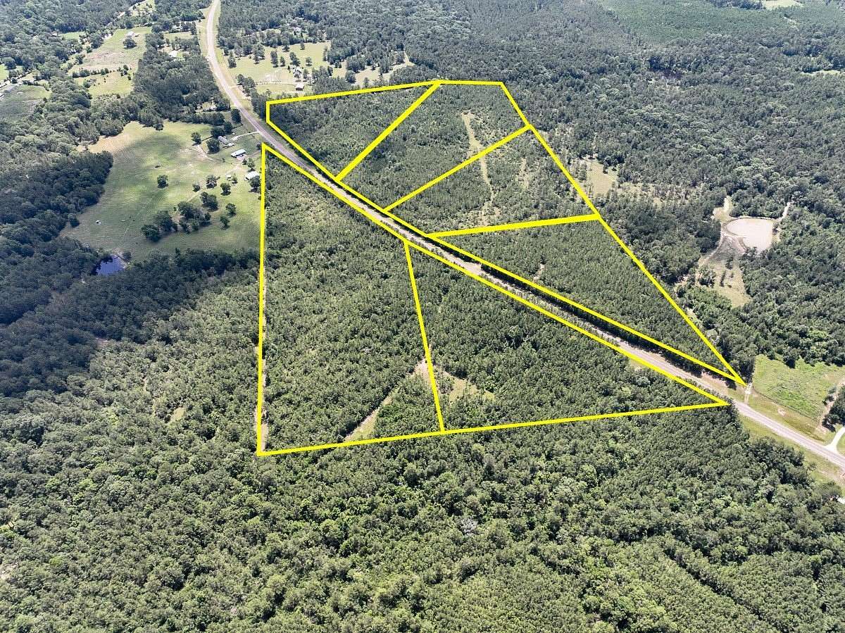 22 Acres of Recreational & Residential Land for Sale in Colmesneil, Texas