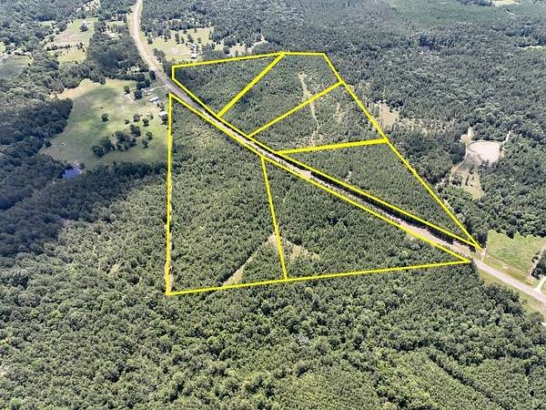 22 Acres of Recreational & Residential Land for Sale in Colmesneil, Texas