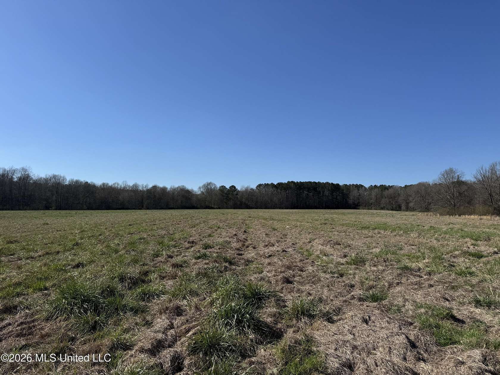 147 Acres of Land for Sale in Sontag, Mississippi