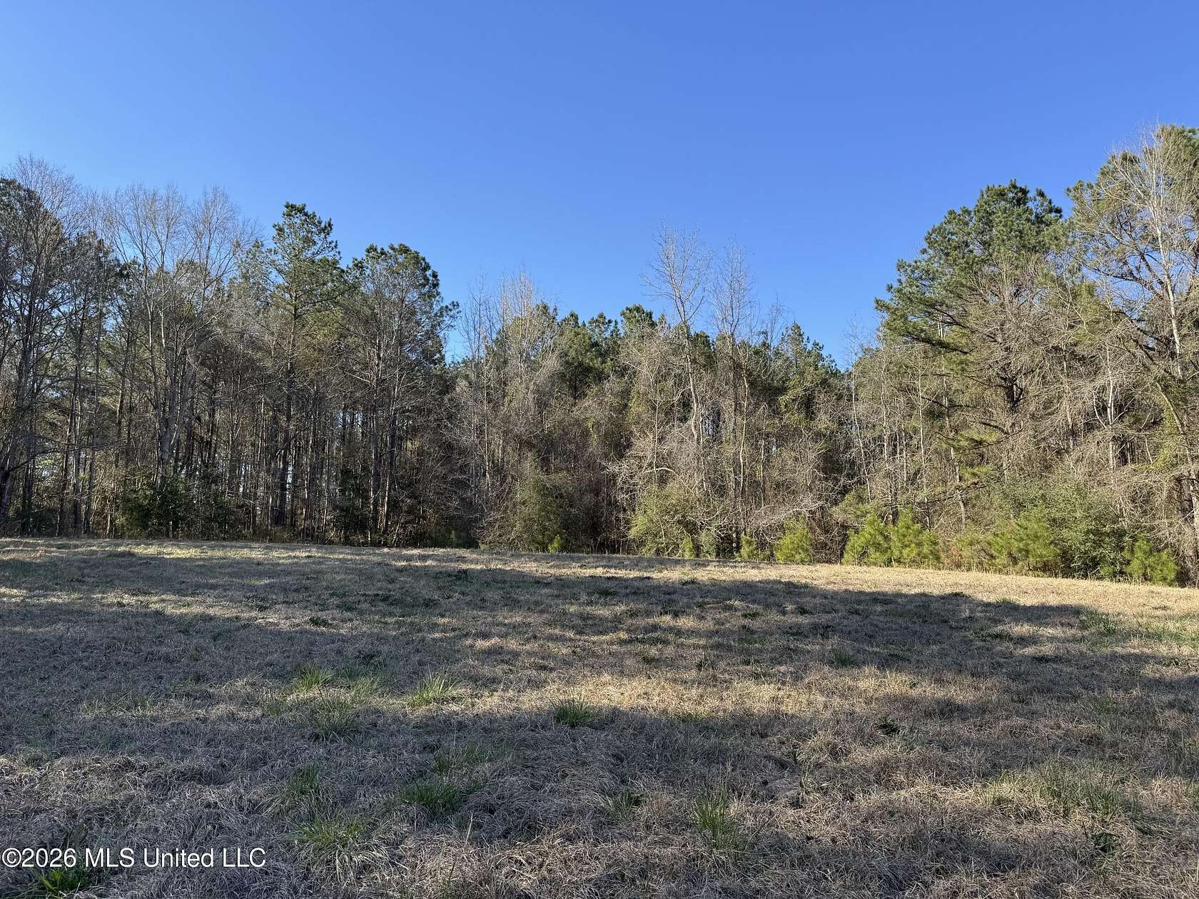 147 Acres of Land for Sale in Sontag, Mississippi
